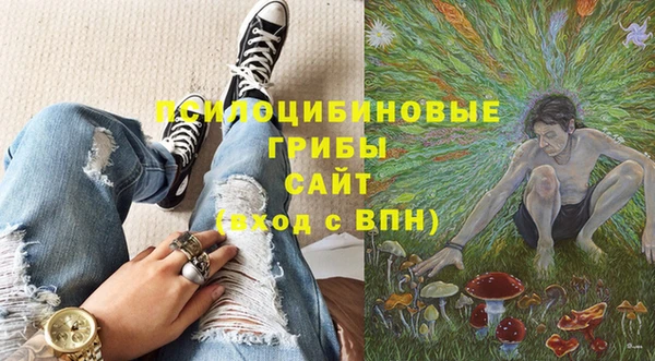 бошки Абаза
