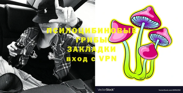 бошки Абаза
