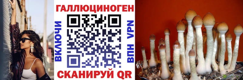 наркота  Верхоянск  Псилоцибиновые грибы ЛСД 